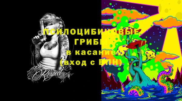 mix Устюжна