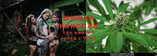 дурь Новозыбков