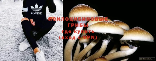 дурь Новозыбков