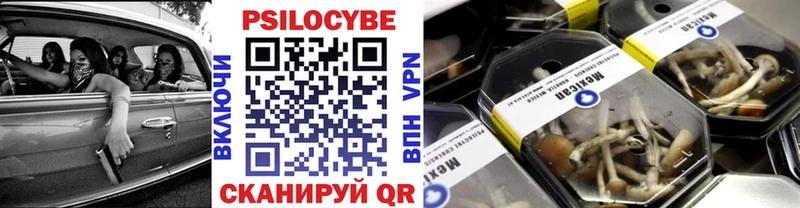 Псилоцибиновые грибы GOLDEN TEACHER  Томск 