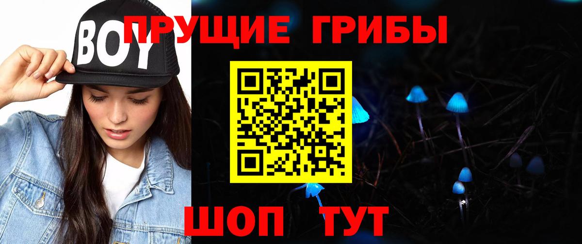 Томск  Псилоцибиновые грибы ЛСД  сколько стоит  Галлюциногенные грибы Cubensis  Вход с VPN 